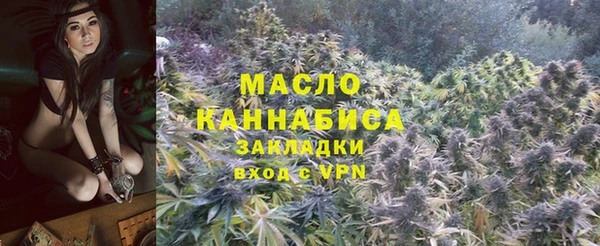 индика Балабаново