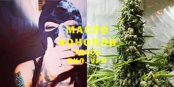 индика Балабаново