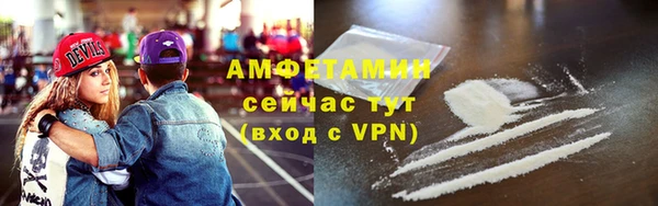 индика Балабаново