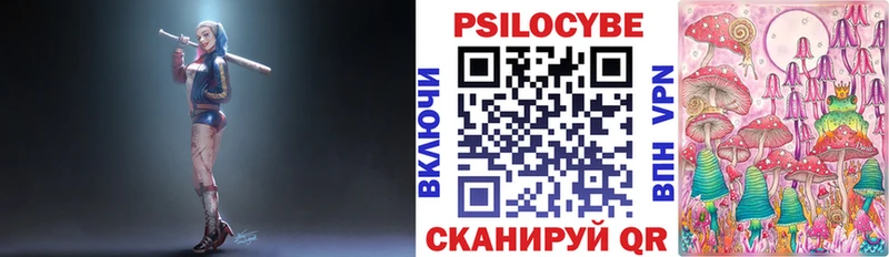 Псилоцибиновые грибы Psilocybine cubensis даркнет наркотические препараты Сковородино KRAKEN вход